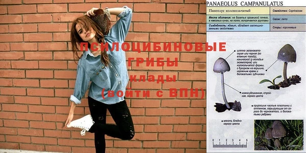 соль курить ск Абинск
