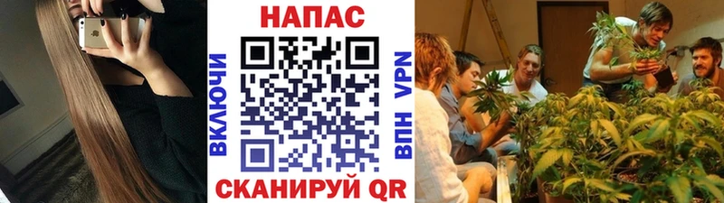 где купить   Иваново  Марихуана план 